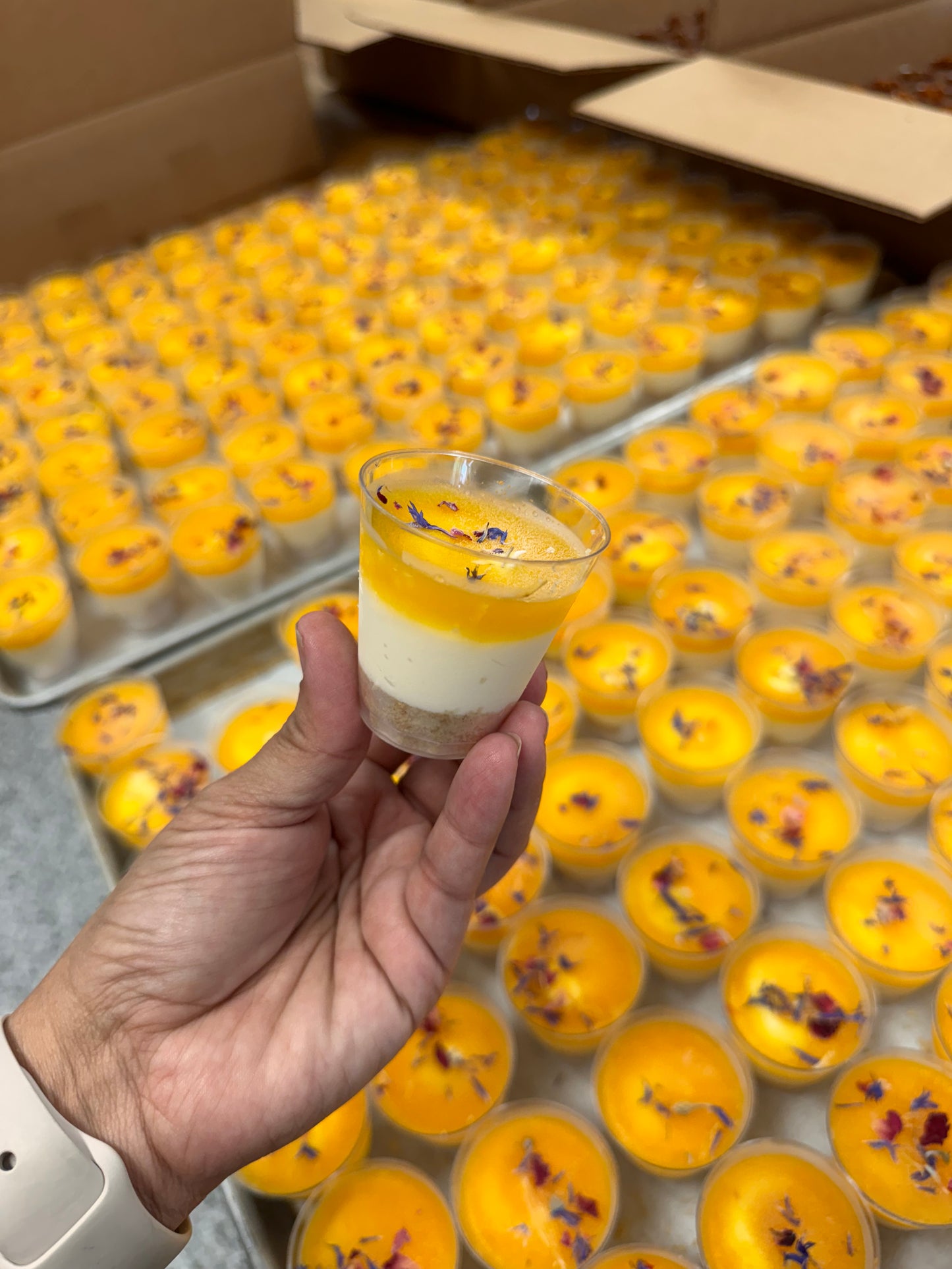Mango Cheesecake shot